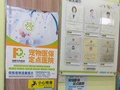 -瑞鹏宠物医院·宠保定点·心脏科·内科(御桥分院)
