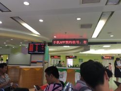 点击看大图 -首都医科大学附属北京儿童医院
