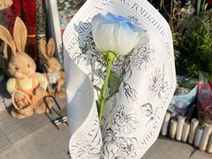 -FEI FEI FLOWER鲜花店·气球派对·宝宝宴布置(虹口德必运动Loft店)