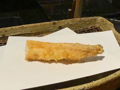 星鳗-みかわ是山居