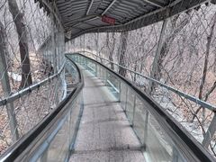 -大芦花风景区