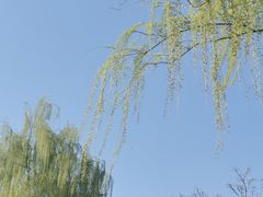 -三里河公园