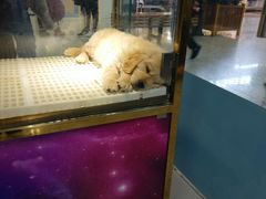 -乐宠宠物店(世纪金源店)