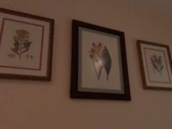 -尊尚柏丽美容SPA