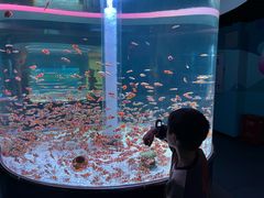 -海合安成都极地海洋公园