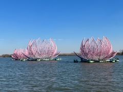 -溱湖国家湿地公园