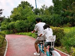 -绿堤公园