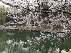 -北京大学-燕南食堂
