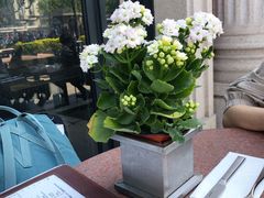 -SMOKI & CO(五大道店)