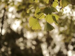 -白鹭湾湿地公园