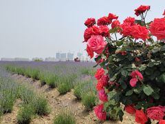 -雪浪山卡丁车俱乐部