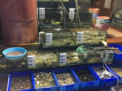 水产区-香满居张记小厨私房菜(青岛站店)