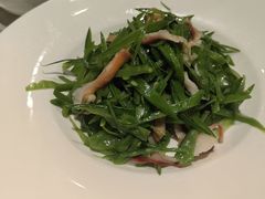 -金美华轩(东方路齐鲁店)