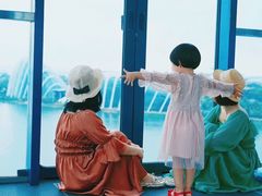 -新加坡摩天观景轮
