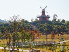 -东莞植物园