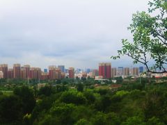-红山国家森林公园