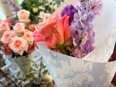 -奔驰上海利星(七宝店)