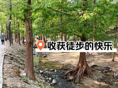 -白水寺森林公园