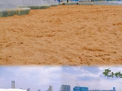 -金沙湖公园
