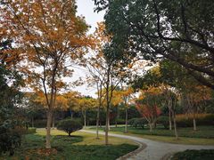 -杭州城北体育公园