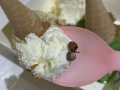 -Mint Gelato(二厂店)