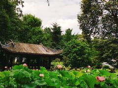 -宝光寺