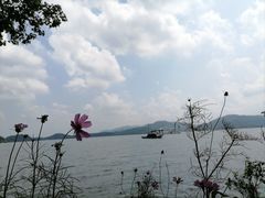 -天目湖山水园