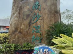 -大湾区中央湿地公园