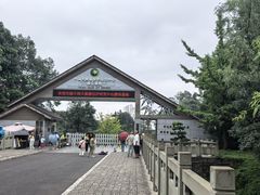 -中国大熊猫保护研究中心雅安碧峰峡基地