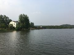 -大塘金香草谷