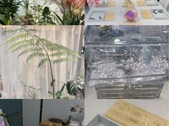 -万达广场(南宁青秀店)