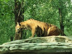-北京野生动物园