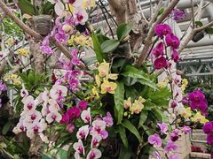 -石家庄市植物园