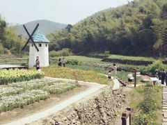 -宁波浙东大竹海景区
