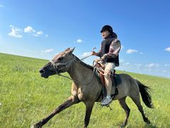 -呼和诺尔旅游景区