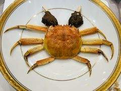 -新光酒家·河豚·海鲜·蟹料理(浦东店)