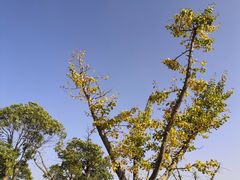 -钟山体育运动公园
