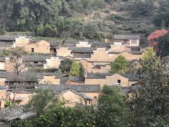 -杨家堂村
