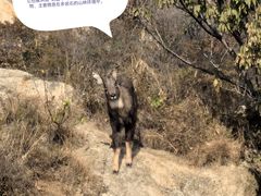 -大岭沟猕猴桃谷风景区