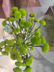 -香秀空间科技抗衰·美容中心
