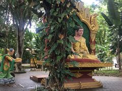 -瑞丽独树成林风景区