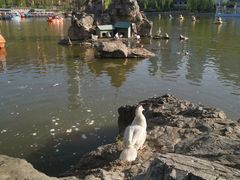 -团结湖公园