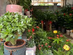 -桂林市花鸟市场