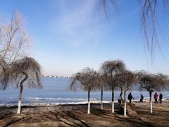 -丁香湖公园