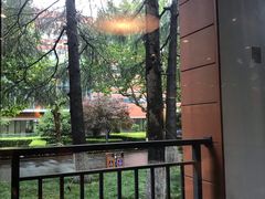 -星巴克(上海交通大学店)