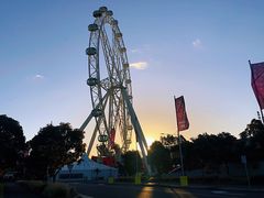 -墨尔本之星 观景摩天轮