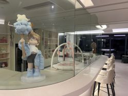 -宝生月子中心·私家园林式(龙华观澜店)