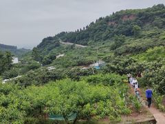-桃源山庄·水蜜桃采摘·柴火鸡·烧烤团建(龙泉山店)