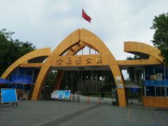 门面-金花茶公园