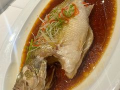 清蒸鲈鱼-眉州东坡(团结湖店)